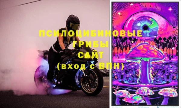 шишки Майский
