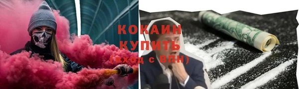 шишки Майский