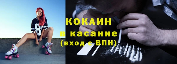 шишки Майский
