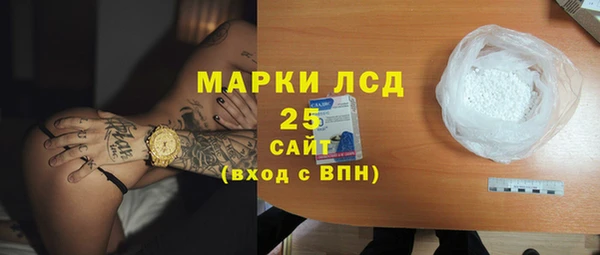 шишки Майский