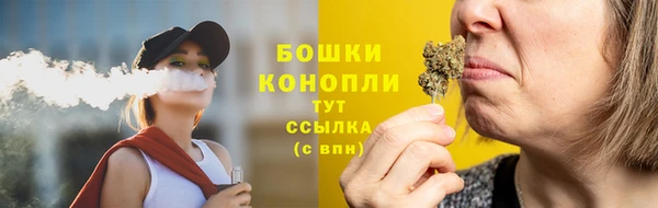 шишки Майский