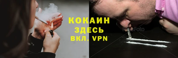 шишки Майский