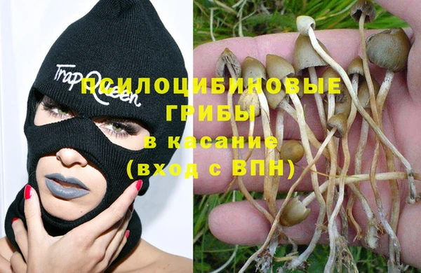 прущие крисы Магас