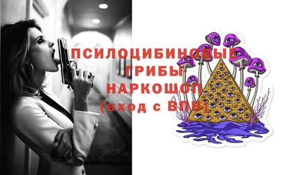 шишки Майский