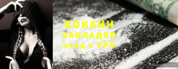 прущие крисы Магас