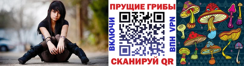 Псилоцибиновые грибы Cubensis  кракен вход  Нижнекамск 
