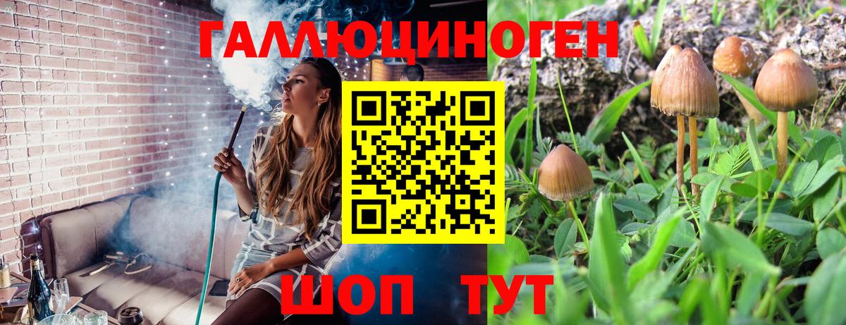 Галлюциногенные грибы ЛСД Нижнекамск