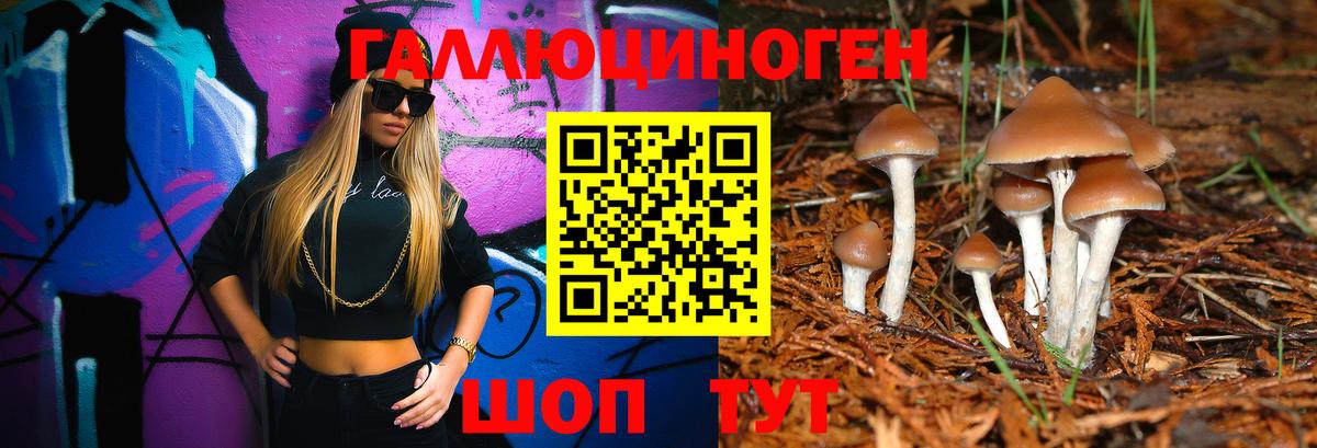 Псилоцибиновые грибы Psilocybe  Вход с VPN  Нижнекамск 